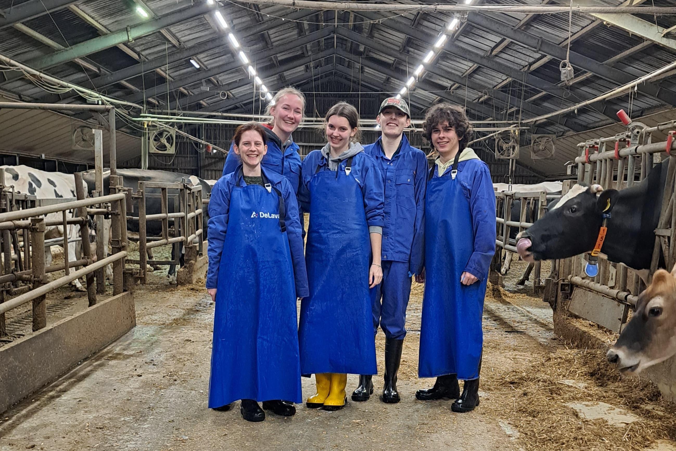 Übungen im Milchviehstall