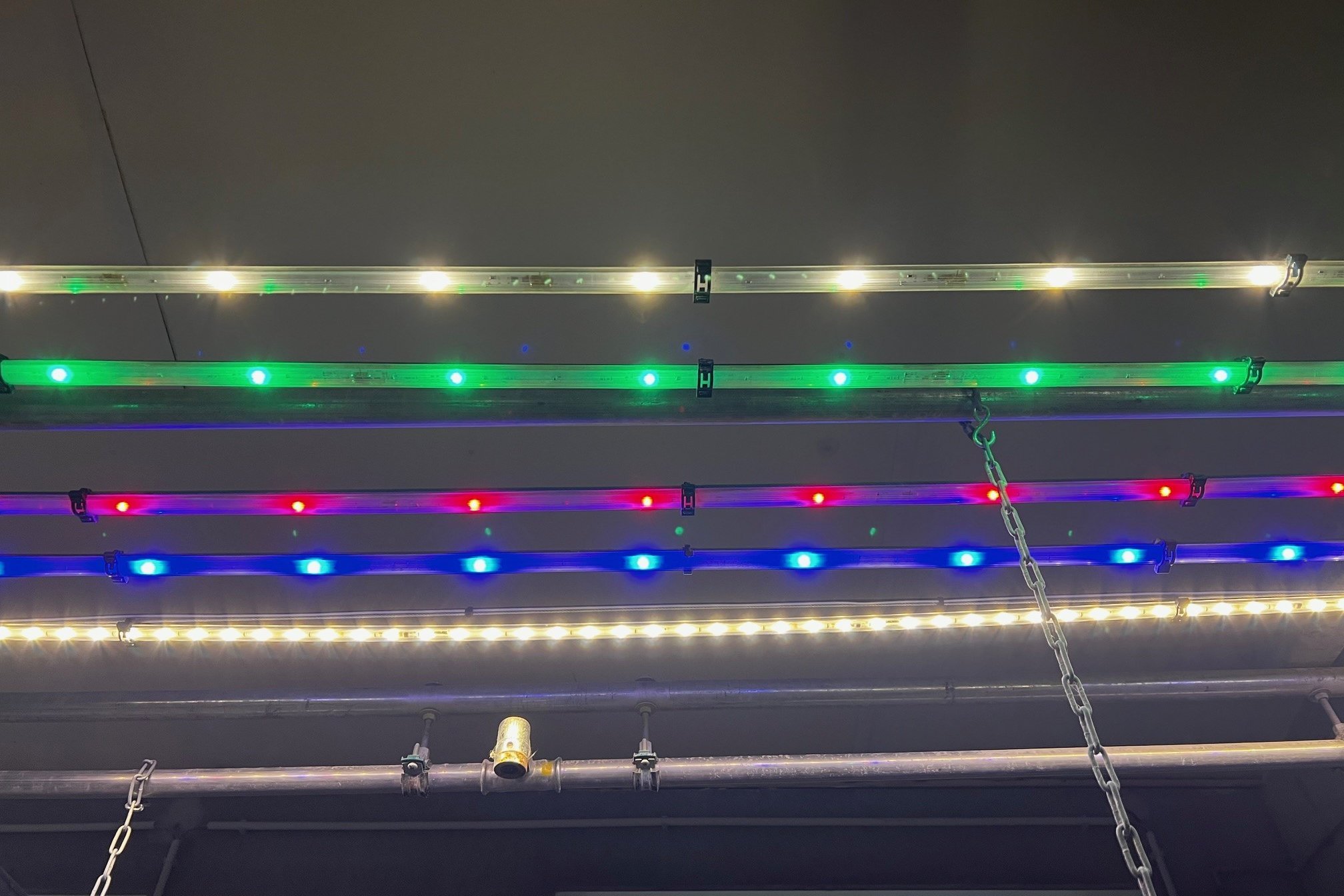 Lichtregime bei Geflügel