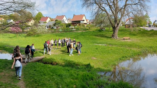 Kaitzbach