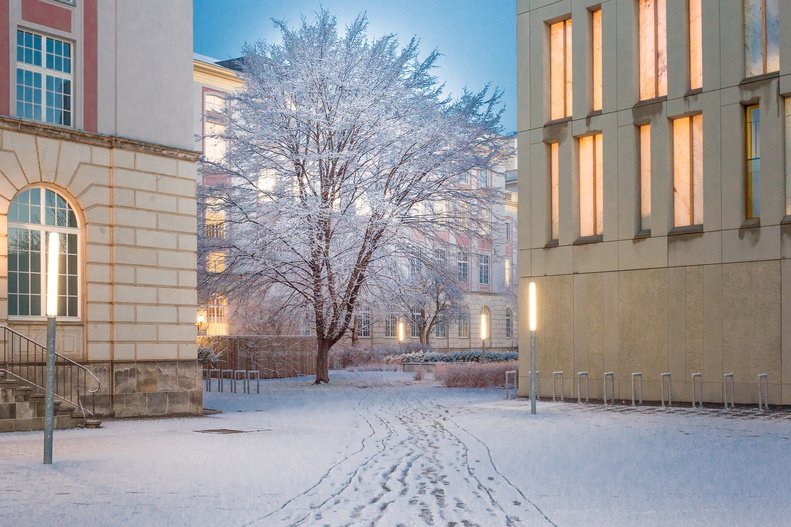 Bibliothek im Winter