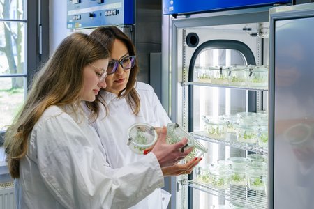 Laboringenieurin Asema Bock zeigt Verena den Klimaschrank, in dem die vermehrten Pflanzenklone wachsen.