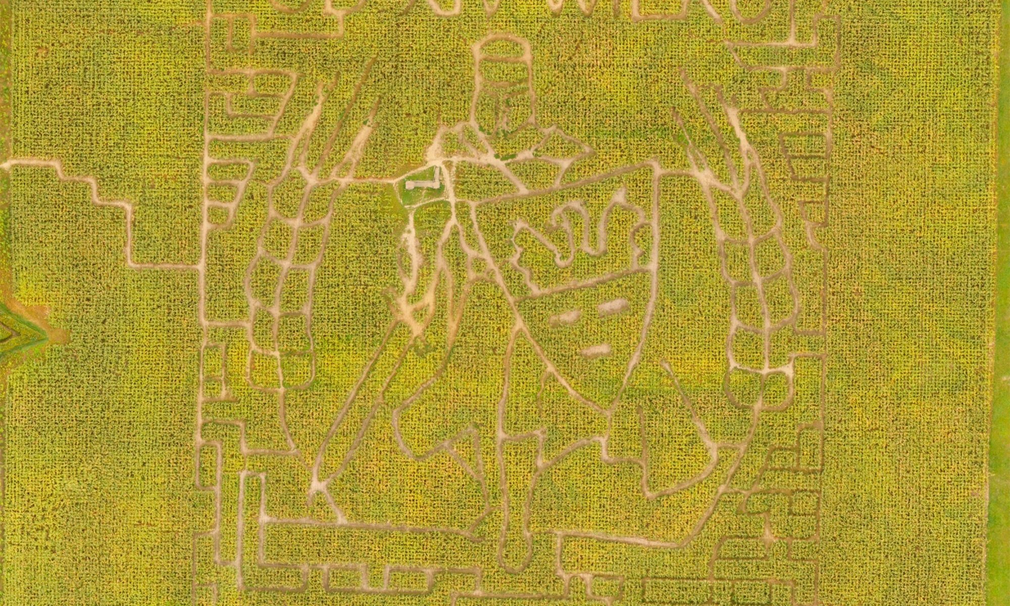 Abbildung Maislabyrinth von oben