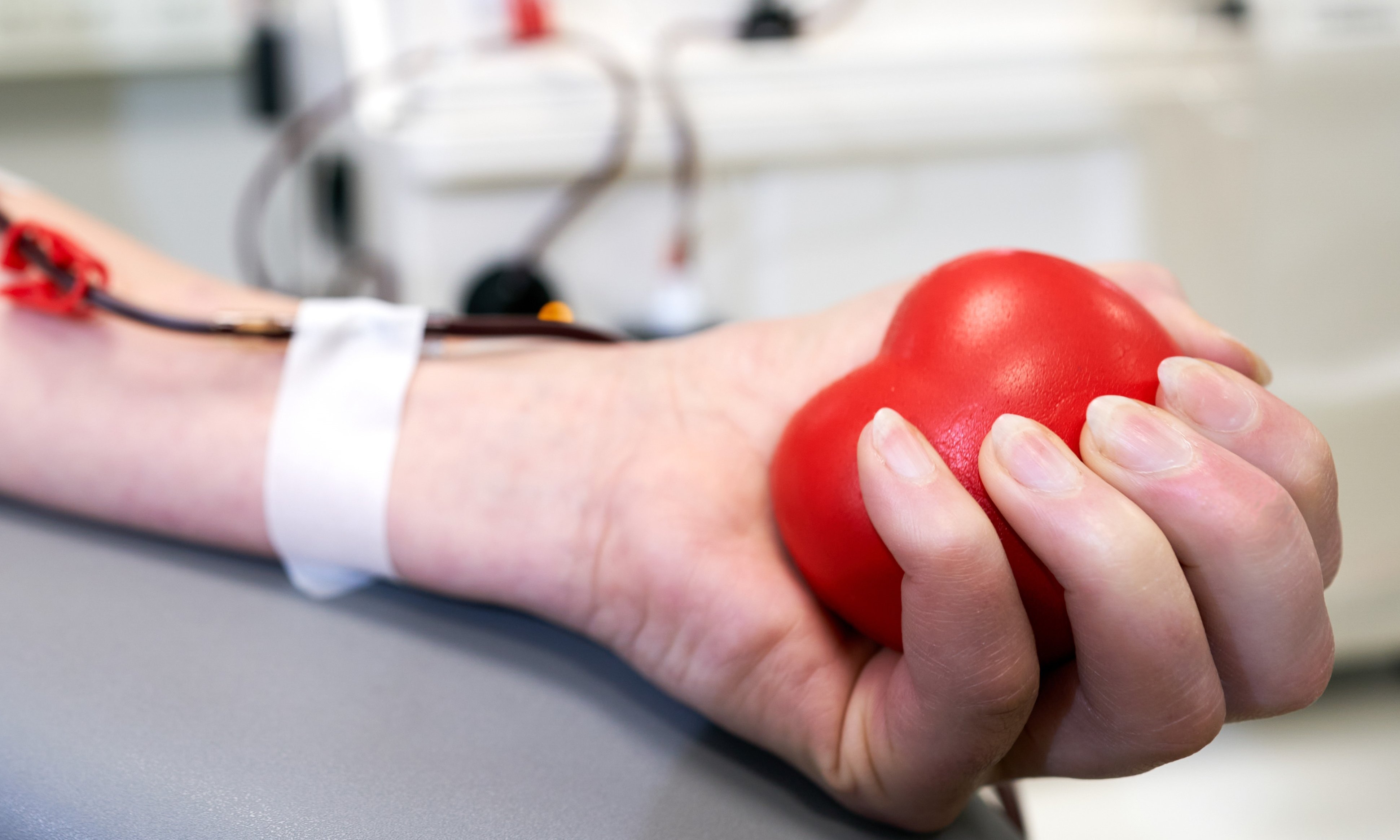 Arm, der Blutspenden mit Gummiball in Herzform in der Hand