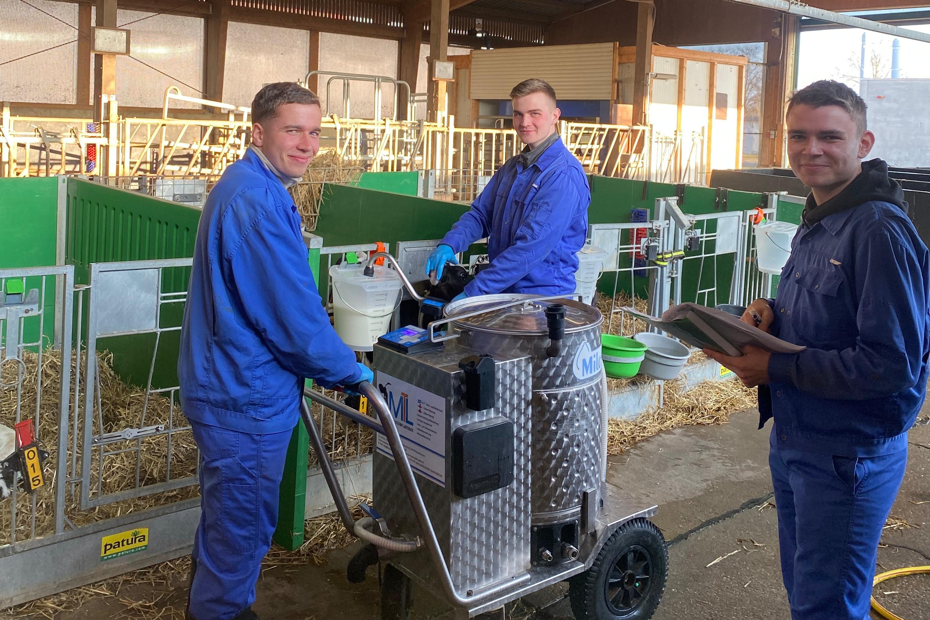 Übung Kälberversorgung