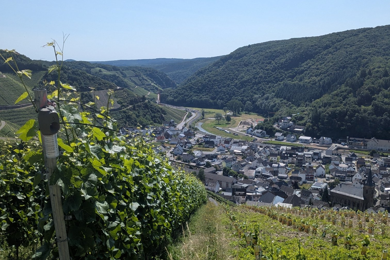 KonGeoS 2025 Exkursion in die Weinberge