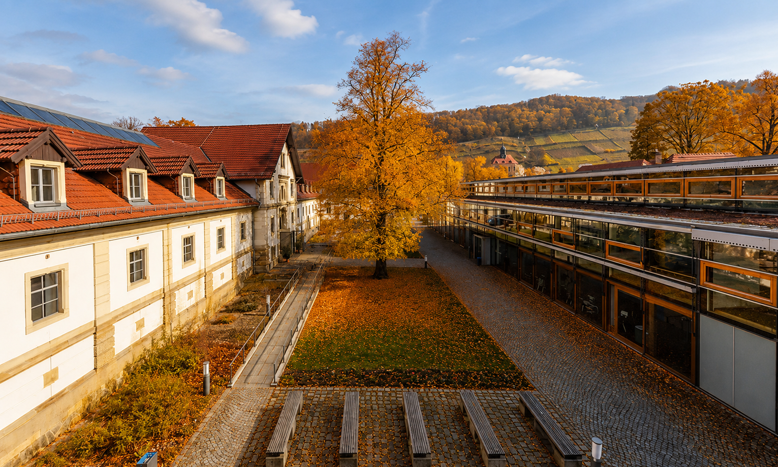 Campus-Pillnitz-Herbst