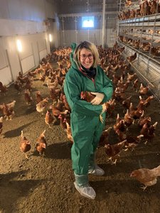 Frau in Schutzkleidung im Hühnerstall mit Huhn auf dem Arm