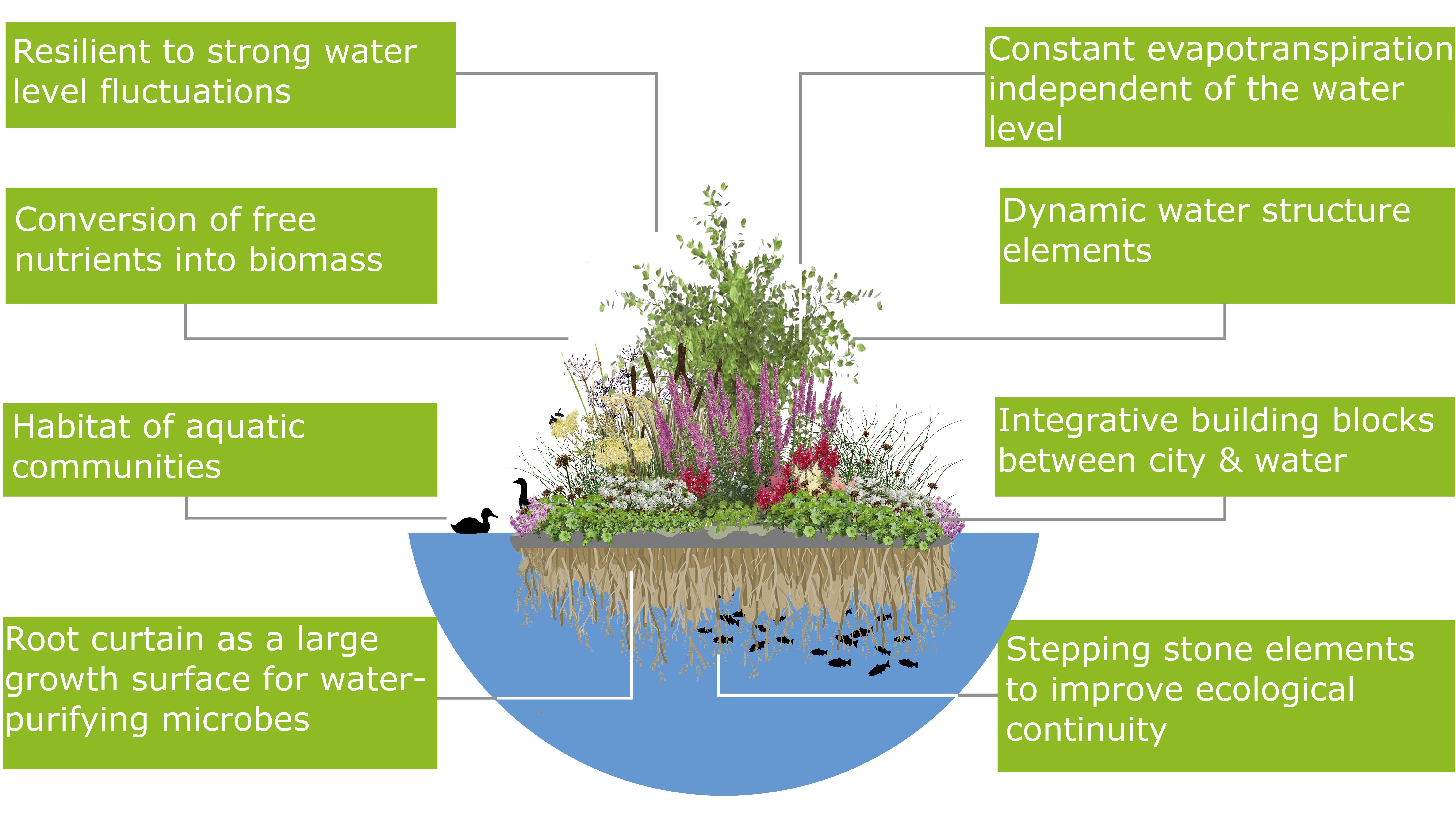 Advantages of Floating Wetlands