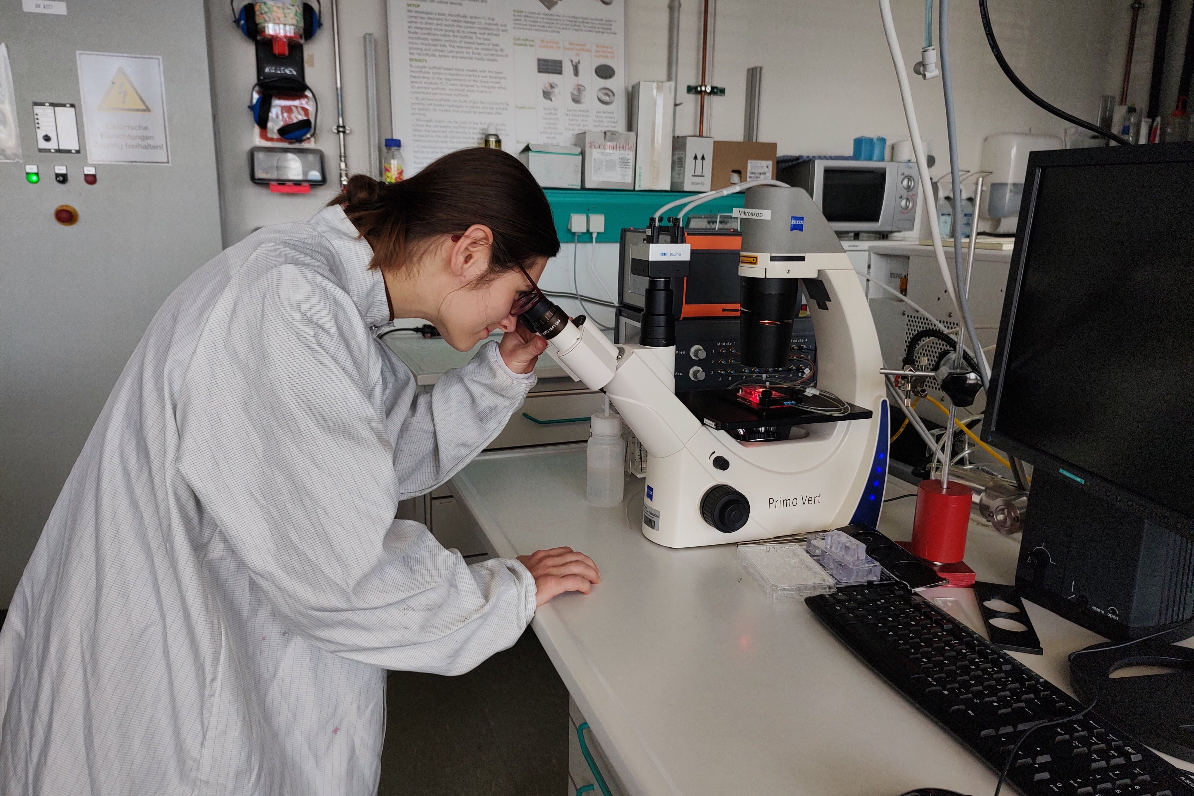 Scientist in the laboratorykop