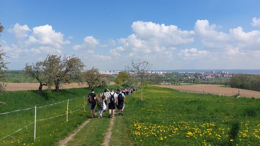 Studierende wandern