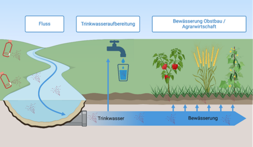 : Forschungsbereich Nano- und Mikroplastik im Projekt NALEWA