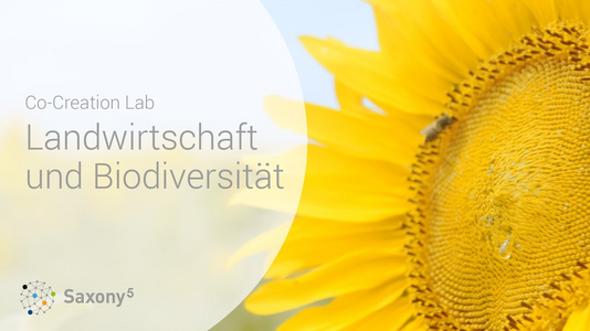 Co-Creation Lab Landwirtschaft und Biodiversität • Saxony⁵