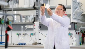 Dr. rer. nat. Dan Xiao