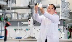 Dr. rer. nat. Dan Xiao